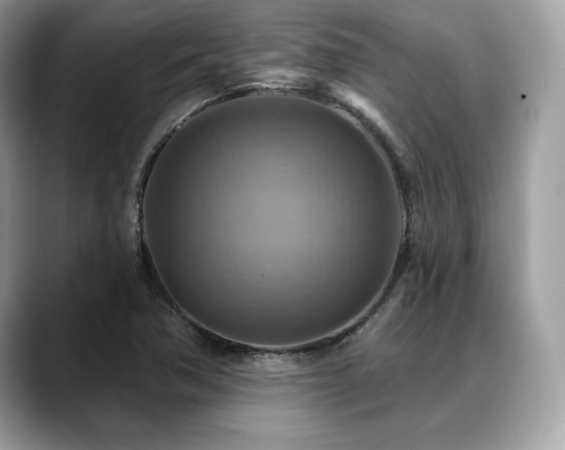 X0000088751362200705311504