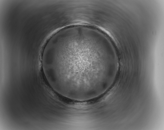 X0000088751363200705311504