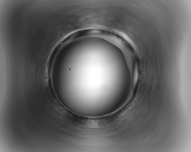 X0000088751364200705311504