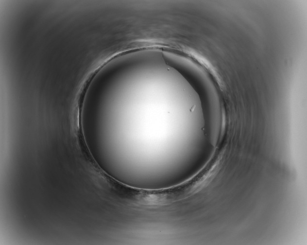 X0000088751365200705311504