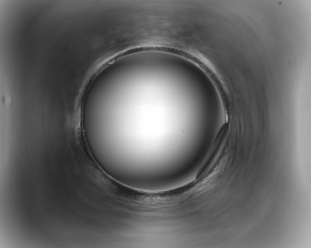 X0000088751366200705311504