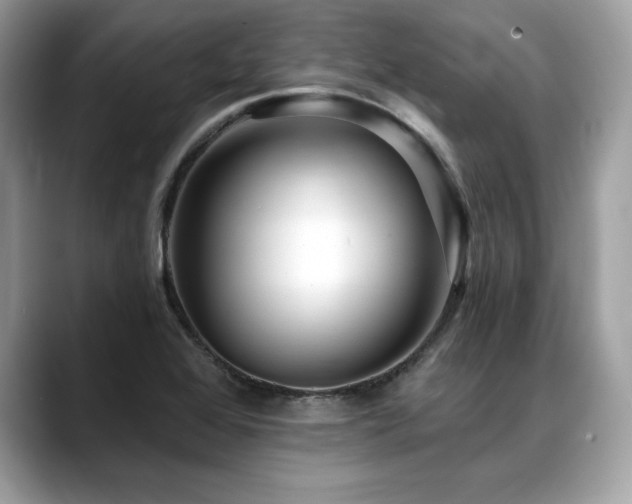 X0000088751368200705311504