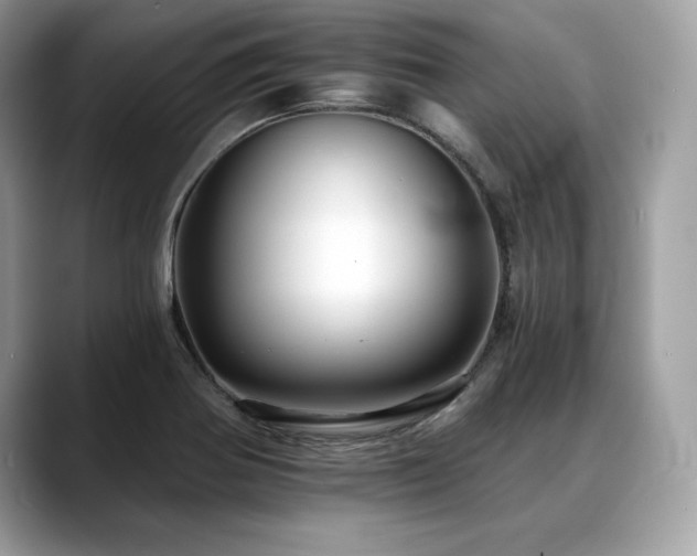 X0000088751370200705311504