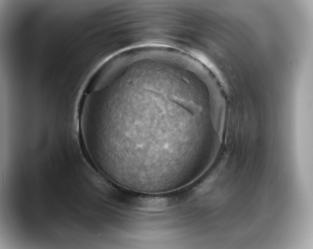 X0000088751372200705311504