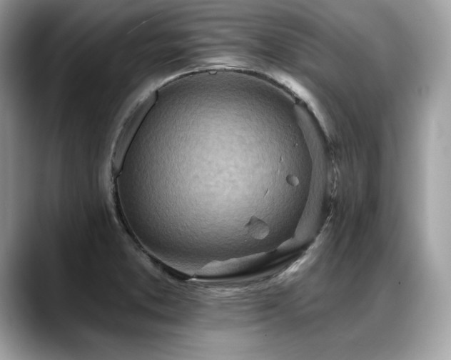 X0000088751373200705311504