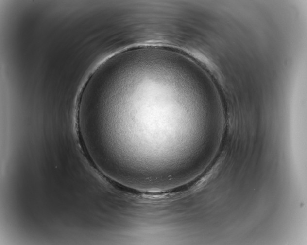 X0000088751374200705311504