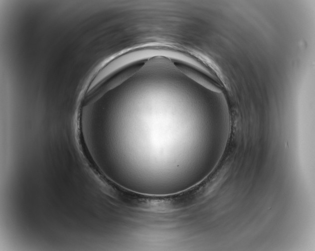 X0000088751375200705311504
