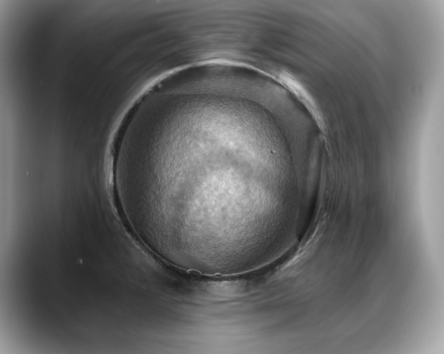 X0000088751376200705311504