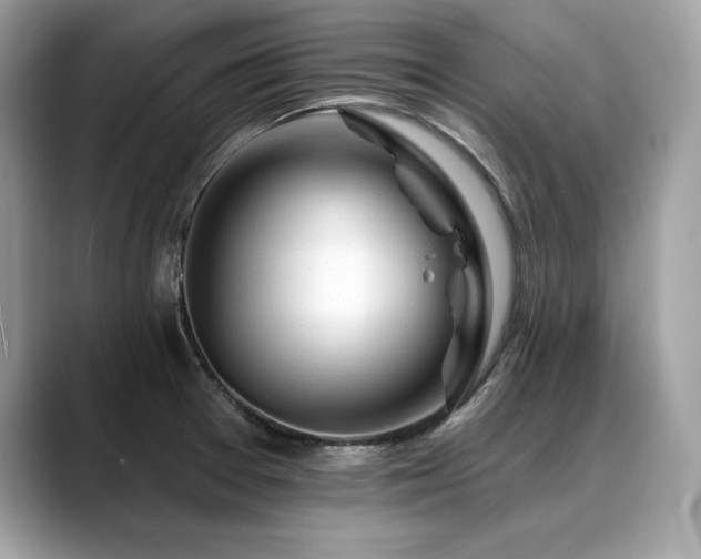 X0000088751377200705311504
