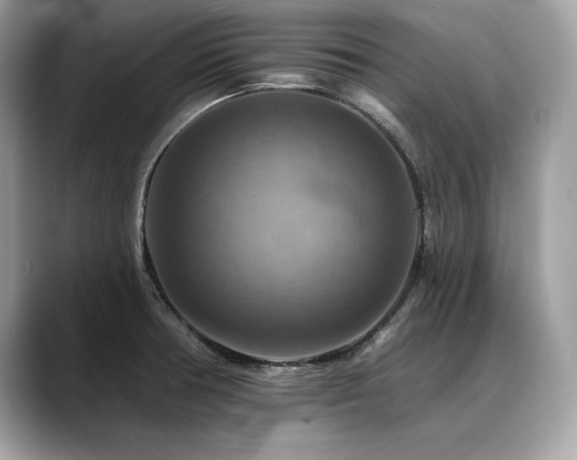X0000088751378200705311504