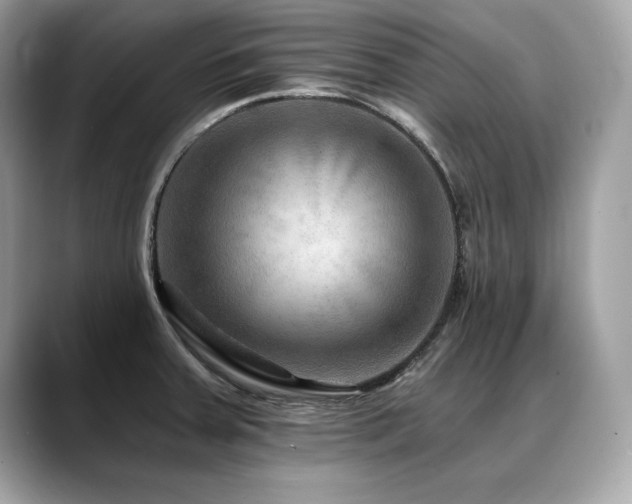 X0000088751379200705311504