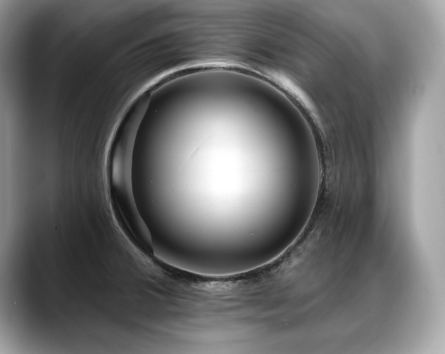 X0000088751380200705311504