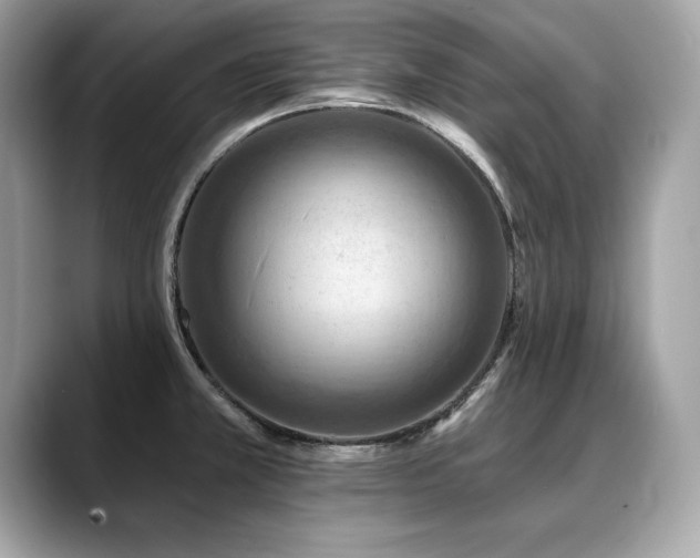 X0000088751381200705311504