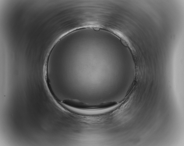 X0000088751383200705311504