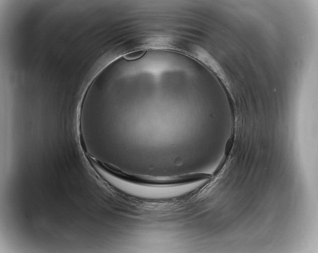 X0000088751386200705311504