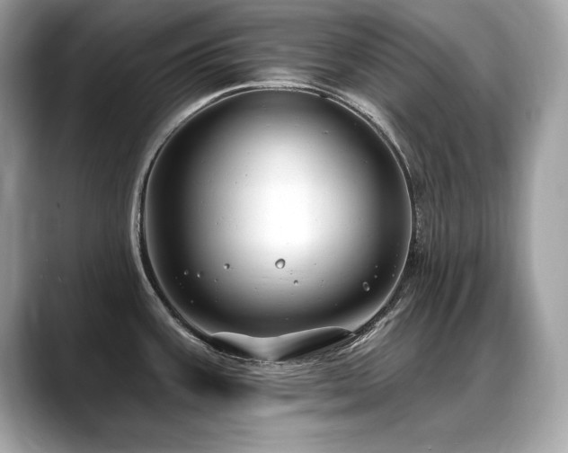 X0000088751387200705311504