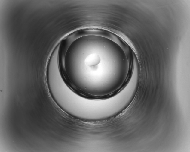 X0000088751388200705311504