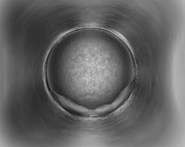 X0000088751389200705311504