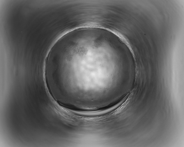 X0000088751390200705311504