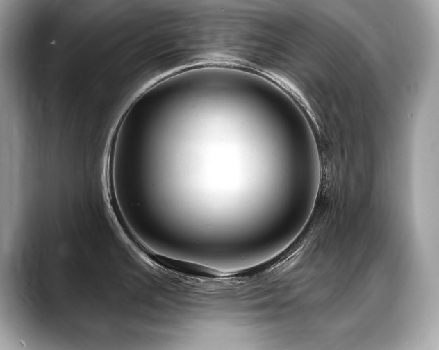 X0000088751391200705311504