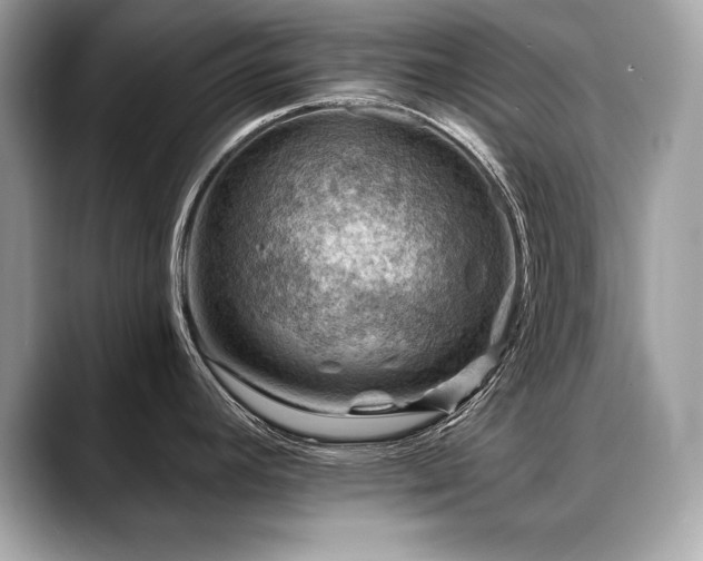 X0000088751392200705311504