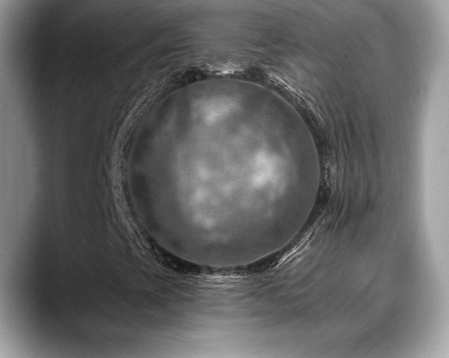 X0000088751393200705311503