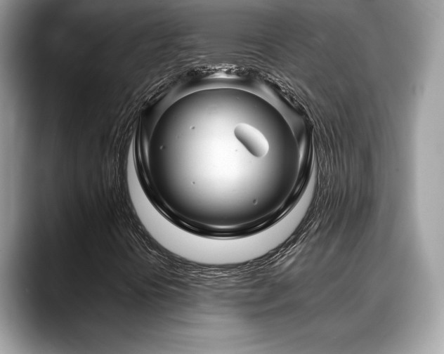 X0000088751394200705311503
