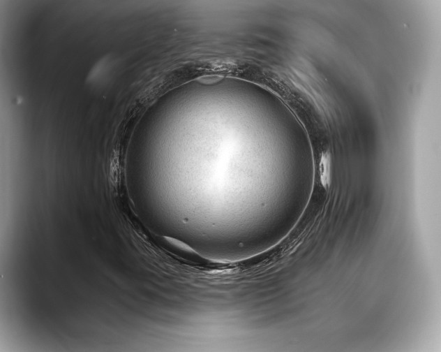 X0000088751395200705311503