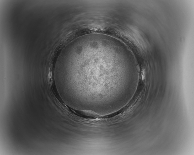 X0000088751396200705311503