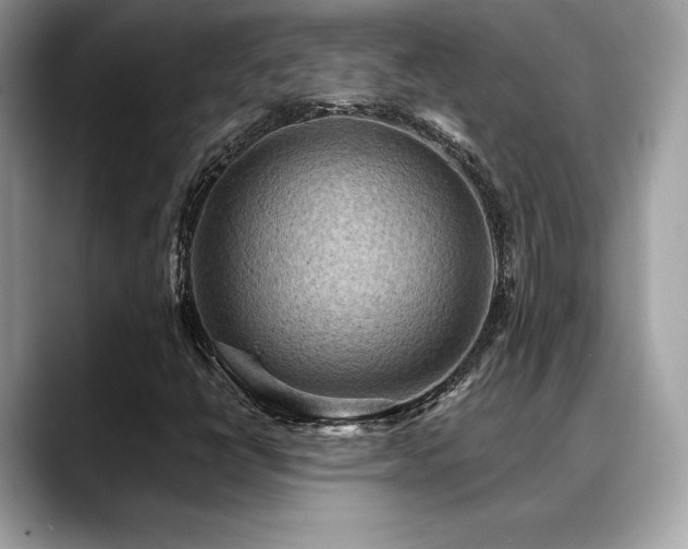 X0000088751398200705311503