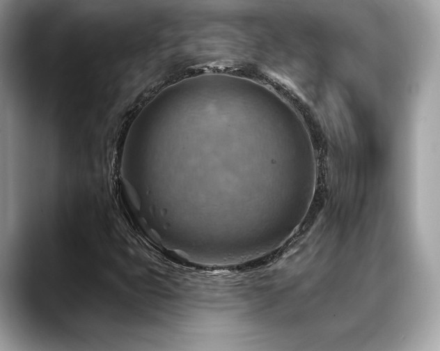 X0000088751399200705311503