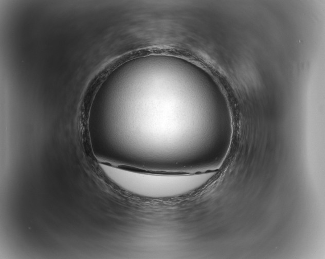 X0000088751400200705311503