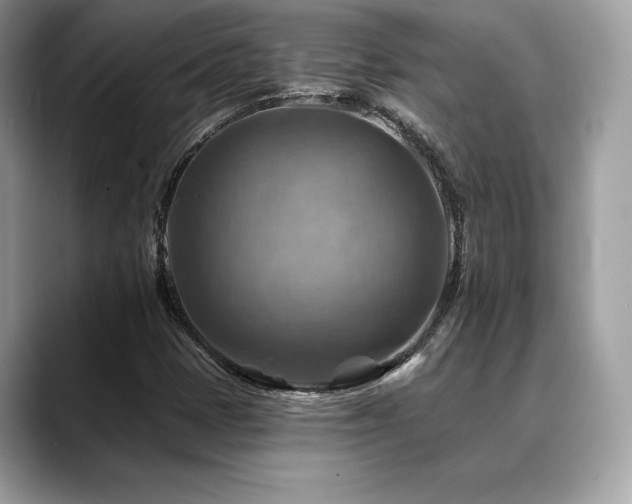 X0000088751401200705311503