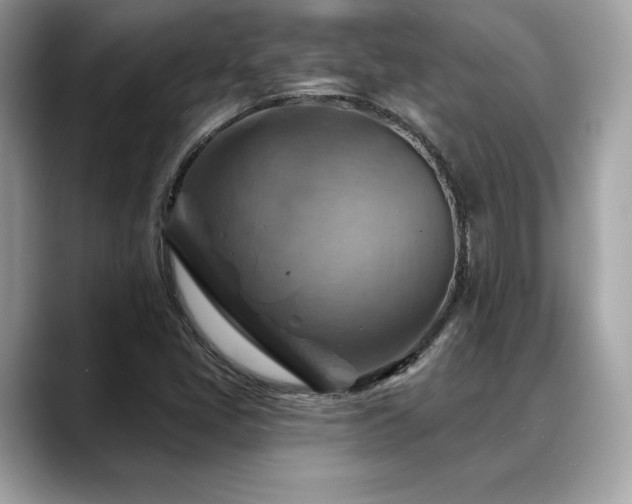 X0000088751405200705311503