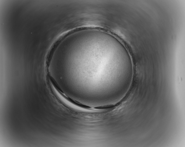 X0000088751408200705311503