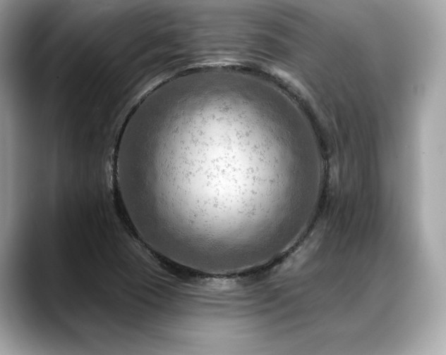 X0000088751409200705311503