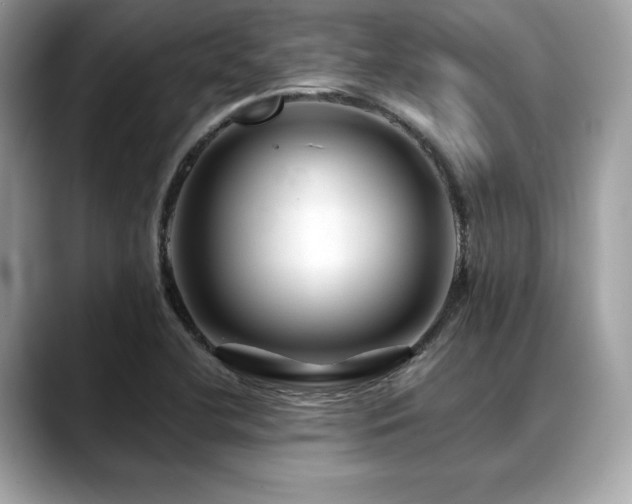 X0000088751412200705311503