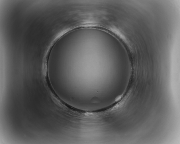 X0000088751413200705311503