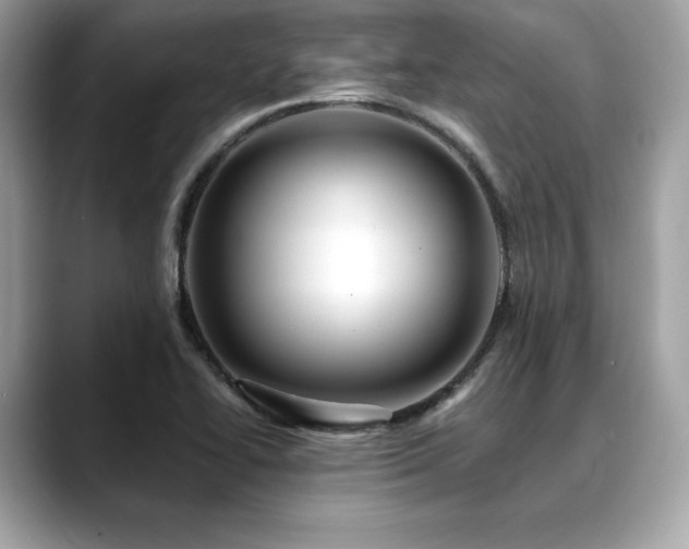 X0000088751414200705311503