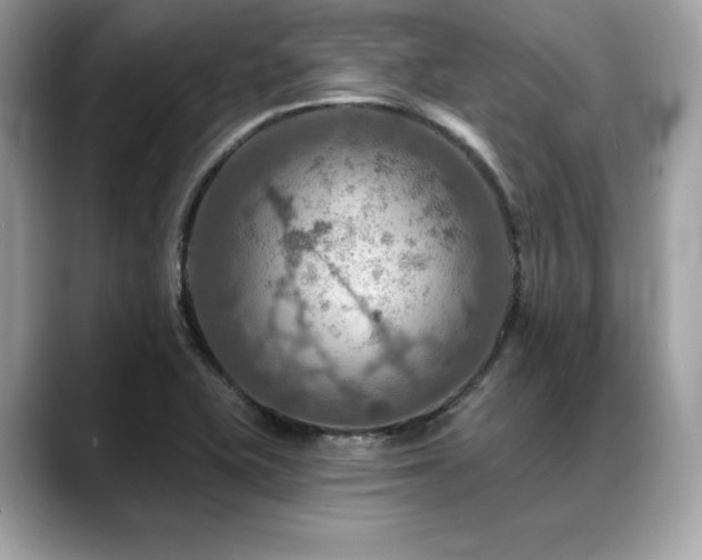 X0000088751415200705311503