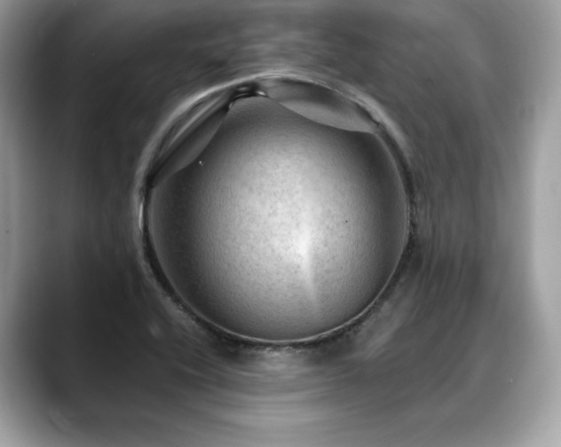 X0000088751416200705311503