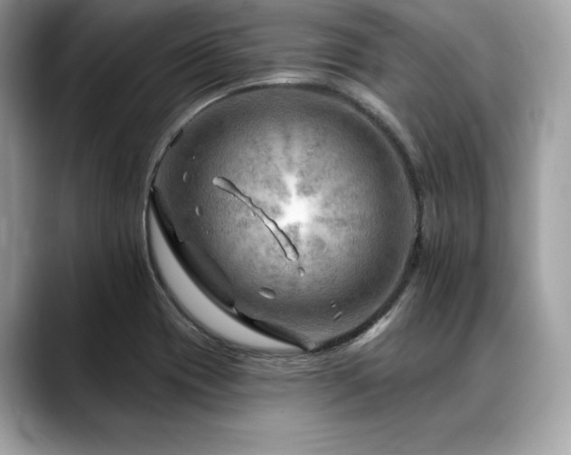 X0000088751417200705311504