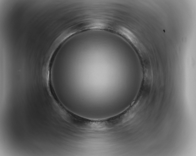 X0000088751418200705311504