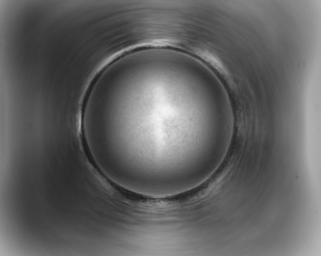 X0000088751420200705311504