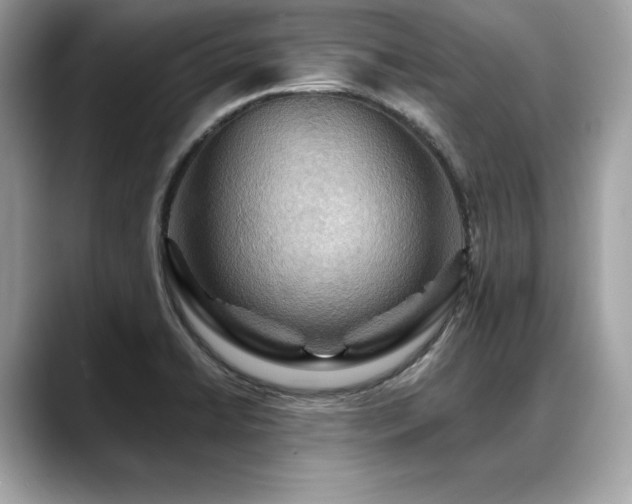 X0000088751422200705311504