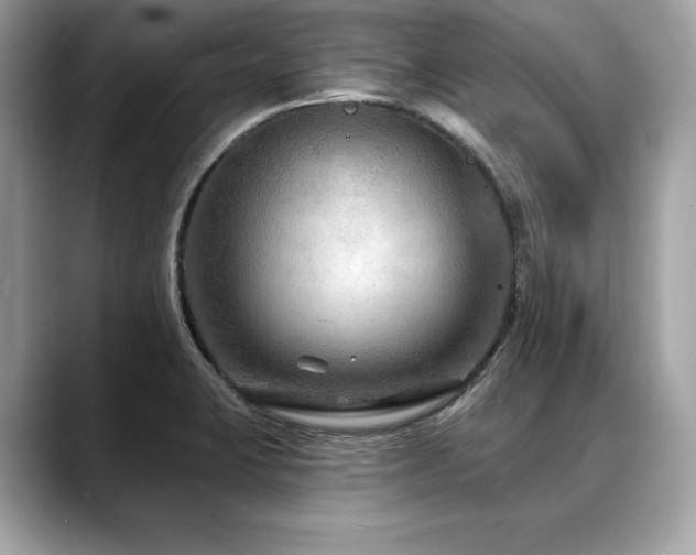 X0000088751423200705311504