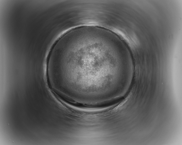 X0000088751424200705311504