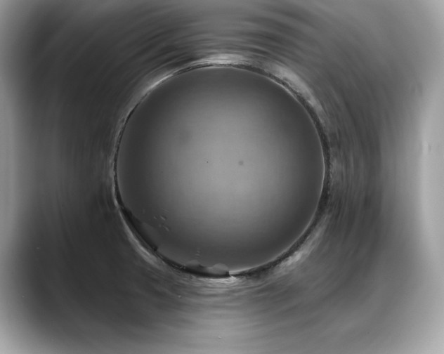 X0000088751425200705311504