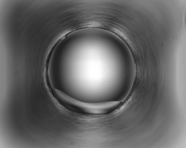 X0000088751426200705311504