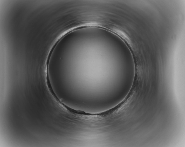X0000088751428200705311504